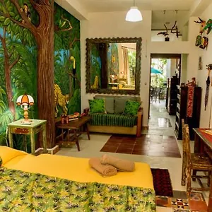 La Selva By Majikal Mexico
